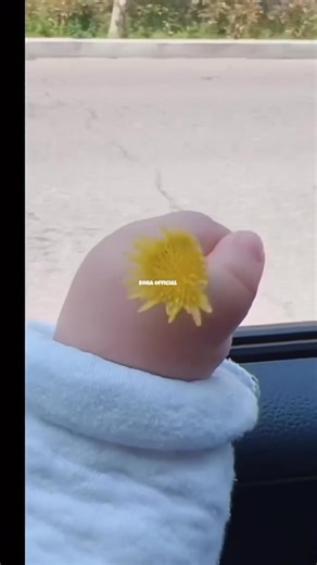 How Sweet.🥹🥰💖 . . . . . . . . . #cute #socute #cutebaby #cuteness #cutenessoverload #baby #babycute #babylove #sweets #sosweet #sweetheart #sweet16 #video #viralvideo #adorablebaby #adorable #Amazing #Admin #best #beauty #beautiful #fb #fbviral #FBVIDEO #kids #pretty #music #moodchallenge #new #smile | 𝙎𝙤𝙃𝙖シ