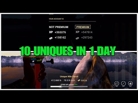 Best Unique Nile Perch Rotation Insane Cash And Xp - At The Congo River - Must Try - Fishing Planet