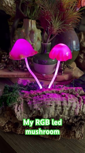 My new diy RGB led mushroom lamp