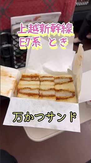 元新幹線運転士のちょい旅 東京-大宮編 JR東日本 上越新幹線 とき E7系 #鉄道 #新幹線 #電車 #jr東日本 #旅行