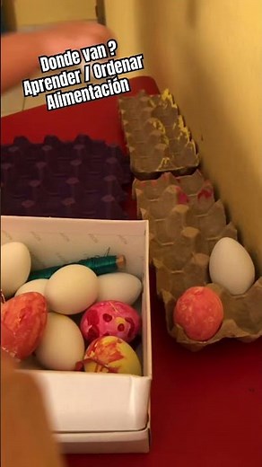 Activities for kids Where do they go? Learning / Sorting Feeding learning to eat alone