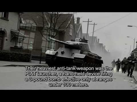 The 10,000 Men of Arnhem: 1st Airborne's Nine-Day Stand