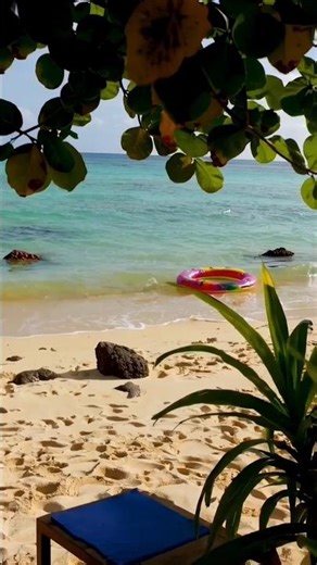 Tropical Beach Relaxation 🌴🌊