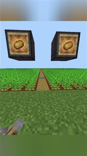 438 Subscribers special aloo challenge harvesting #shorts #viral #shortsfeed