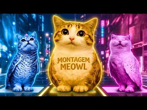 MONTAGEM MEOWL (Brazilian Phonk) 🐱🦉 | (EVERY VERSION)🎵🎧
