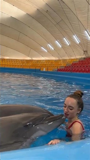 Cute dolphins playing with Beautiful Girl on Aquarium pool #dolphin #shorts