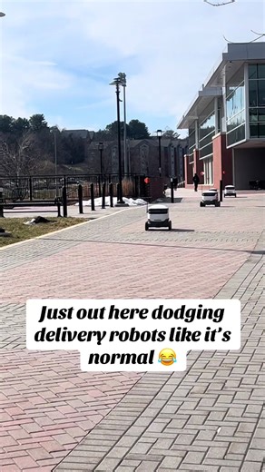 Robots Living Their Best Life on Campus