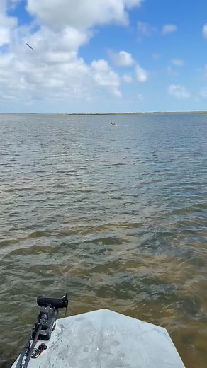 Back Lakes Lodge on Reels