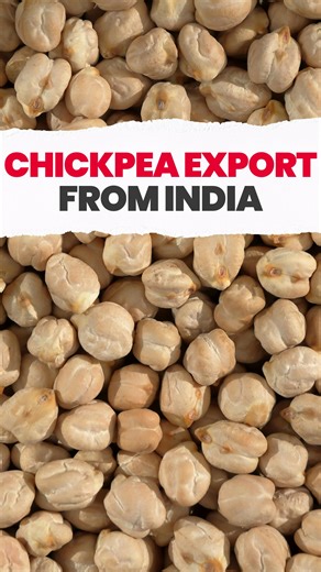 LIME EXPORT IMPORT INSTITUTE on Instagram: "India's Chickpea Export and Growing Opportunity 🚢 . This superfood is becoming extremely popular in the global health market, and India produces nearly 75% of the world’s supply. I’m talking about Chickpea (Chana), a powerful nutritional food packed with protein, fiber, vitamins, and essential minerals. It is widely used to improve digestion, support weight management, regulate blood sugar levels, and help control chronic conditions like diabetes and 
