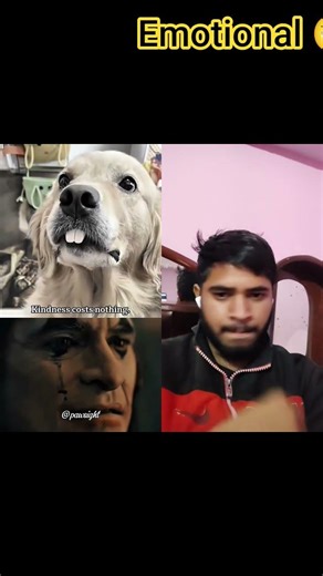 dog sad moment 💔 #dog #doggielife #emotional #relatablestories #sad