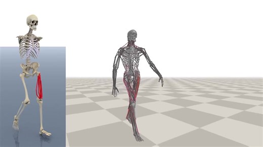 Scalable Muscle-actuated Human Simulation and Control(SIGGRAPH 2019)