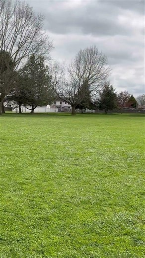 Practicing for a triples tournament. #discgolf #discgolftriples #discgolfpracticeround