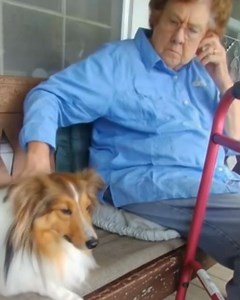 MY GRUMPY GRANDMA SAID SHE DIDN’T LIKE DOGS—BUT THIS ONE NEVER LEFT HER SIDE We always joked that Grandma Edna had two moods: irritated, and more irritated. She wasn’t cruel or anything—just blunt. Classic Southern steel. She’d survived things most of us couldn’t even imagine and didn’t see the point in sugarcoating life. So when Mom brought home a rescue Sheltie named Tucker last year, Grandma rolled her eyes so hard I thought they’d get stuck. “Dogs shed, slobber, and beg,” she said flatly. “I