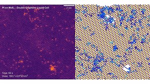 First-Ever Images of Atoms Moving in Liquid Captured by Researchers