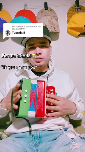 Tutorial on Playing Mini Accordion: Tragos Amargos