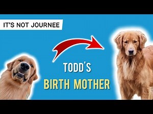 Who is Todd Budzyn's Mother? ( It's not Journee ) ‪@TuckerBudzyn‬