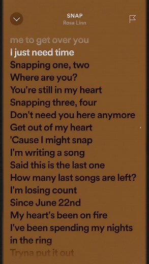 snap short version. #music #lyrics_songs #lyricsvideo #lyricsmusic #lyric #lyrics #song #spotify #lyricmusicparadise #fyp #rosalinn #rosalinnsnap