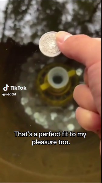 10/10 😮‍💨 H/t u/16green via r/perfectfit #perfectfit