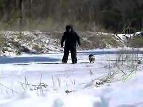 DOG WALKING BIGFOOT SIGHTING - CAUGHT ON VIDEO