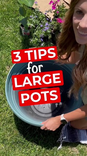 Super easy way to fill large pots! @nikkiplantsthings #largepot #pottedplants #garden2024 #planthack #planttips