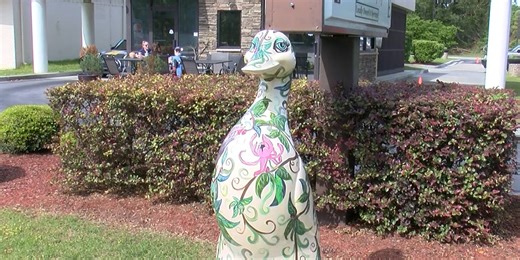 Goose Creek businesses benefit from 2nd annual goose chase scavenger hunt