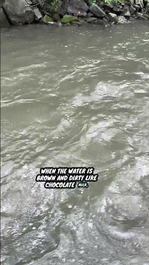 Fly fishing tip. How to fly fish in dirty water