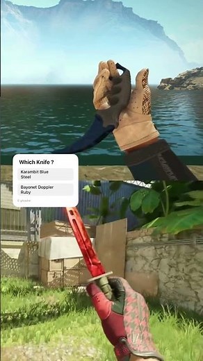 Bayonet Doppler Ruby vs Karambit Blue Steel CS2 Knife Battle