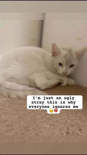 7K views · 726 reactions | For weeks, she lingered at the edge of the...