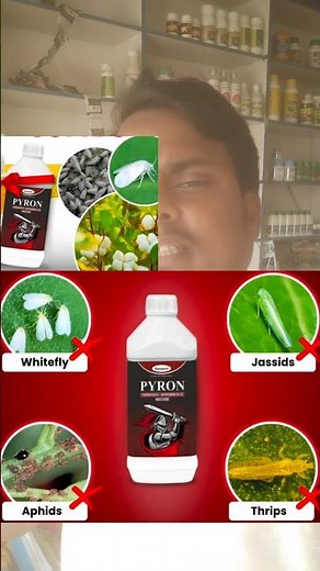 Pyron insecticide|Katyayani Pyron Pyriproxyfen 5% + Diafenthiuron 25%se| World top insecticide#short