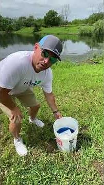 Controlling pond moss and algae in your pond