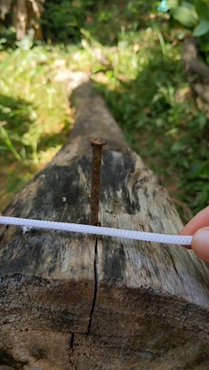 A common effective rope hitch. | Reece Hawkins