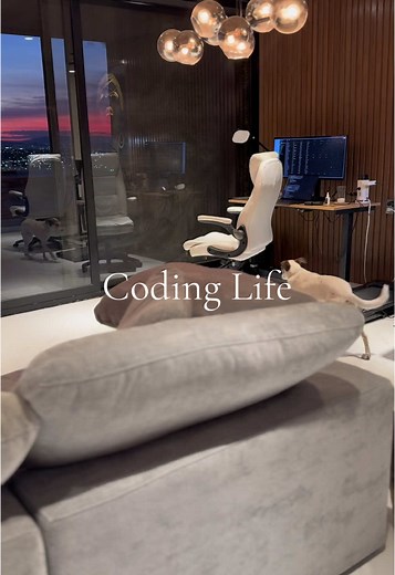 Coding Life: A Journey Through Software Development