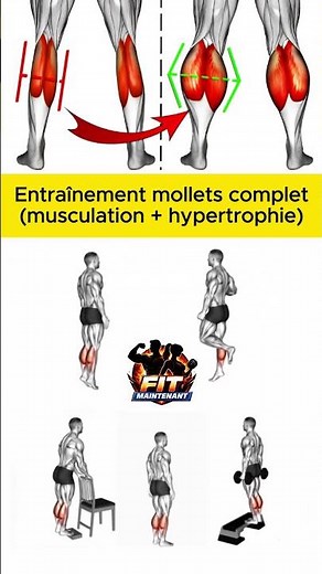 Entraînement mollets complet 🔥musculation + hypertrophie #molletsexercice #molletsmaison