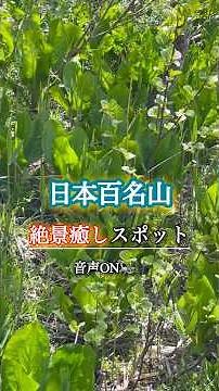 【新潟県】新緑の絶景スポット！草花と野鳥の癒しとカエル