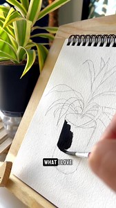 Concerned about online plant delivery? Say no more... because we deliver with a difference!! 🌱 ✔️ Clean Pots Guaranteed ✔️ Comes in healthy condition ✔️ Breathable Packaging ✔️ Sturdy Boxes Shop Now! | Greenery