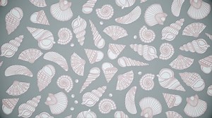 clip-1030558082-abstract-animation-drawn-seashells-appearing-instead-their