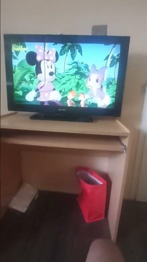 Mickey mouse clubhouse road rally shorts