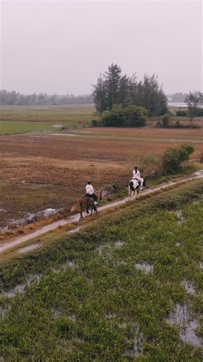 Pony club | Photoshoots with horses | Da Nang on Instagram: "Discover the joy of stunning field rides in any weather and any season! Enjoy nature, fresh air, and the warmth of connecting with our horses. We create beautiful videos so every moment stays with you. Our horses are always happy to see you! Come and experience for yourself how wonderful it is! #vietnam #horse #danang"