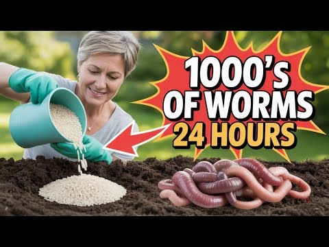 This Fall Soil Trick Attracts 1000s Of Worms In 24 Hours!