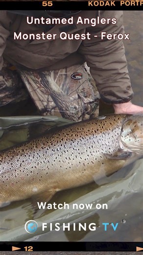 37K views · 22 reactions |  Join us in the Scottish Highlands as we take on the challenge of catching the elusive Ferox Brown Trout of Loch Awe! ️ Expert anglers, breathtaking scenery, and the ultimate test of skill await. Don't miss out on this unforgettable expedition! | Fishing TV | Facebook