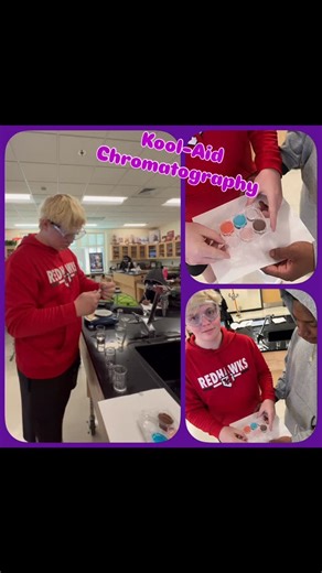 Jeff O'Shields on Instagram: "KOOL-AID CHROMATOGRAPHY 🟣 Students separate different colored dyes in grape Kool-Aid® (red and blue dyes) using column chromatography, a popular method used in research and industry to separate, isolate and purify components of mixtures. The dyes separate based on their polarity. #koolchromatography #koolaidchromatography #chemistry #mroshieldschemistry #inthelab @raelynseaton18 @tiffandtod"
