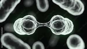 Bacterial Reproduction Explained – Binary Fission Animation | How Microbes Multiply Rapidly | Microbiology Visual Guide for Students