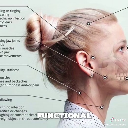 Maxilla Lecture Part 2: Explore Facial Anatomy