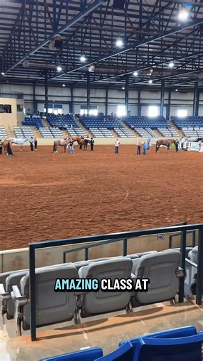 16 reactions | What is the “Showmanship” class at horseshows #aqha #horseshow #showmanship | Kie | Facebook