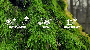 Environmental, Social, and Governance Explained Animated Infographic