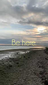 Causeway Fishing #dunedincauseway #fishingarea #fishing #behere #dunedinflorida #fishinglife | Dunedin - Honeymoon Island Beach Life & More