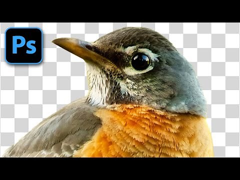 How To Remove Background in Photoshop ✂ Cut, Delete & Erase ☑