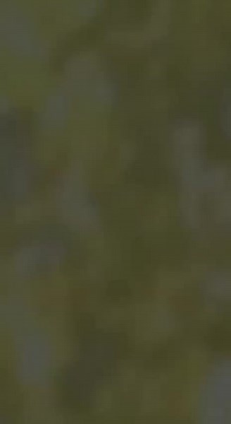 ☺️#fypシ゚viral #ellbruso #рекомендации #пжрек #хочуврекомендации #глобальныерекомендации #рекомендации #рекомендации