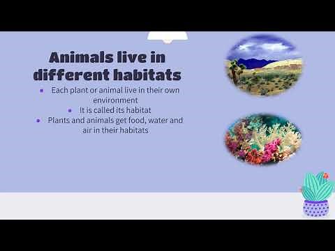Grade 5 - Plants and animals on Earth