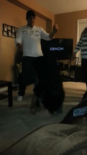 Hot chick gets banged from behind hits floor hard
